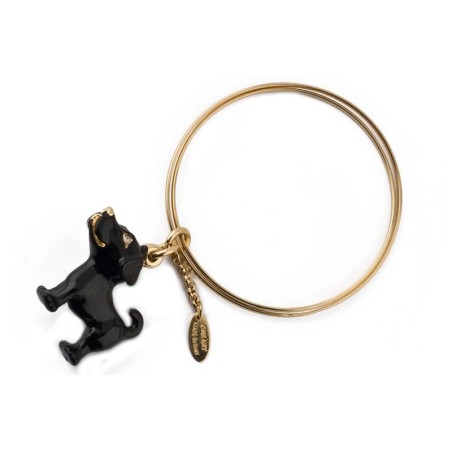 Black labrador