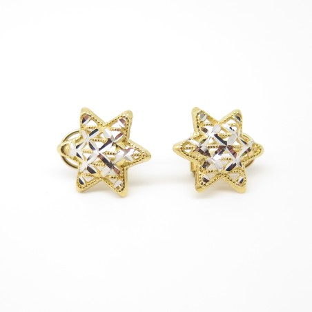 Orecchini pvz oro 18 kt