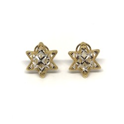 18 kt gold pvz earrings